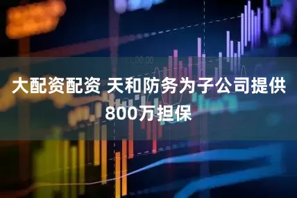大配资配资 天和防务为子公司提供800万担保