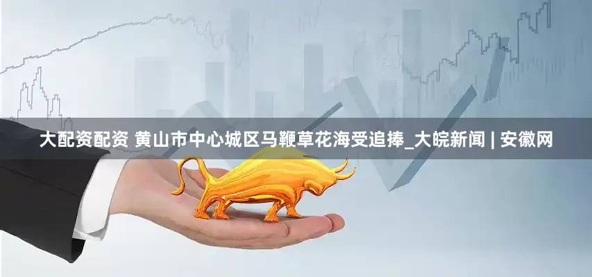 大配资配资 黄山市中心城区马鞭草花海受追捧_大皖新闻 | 安徽网